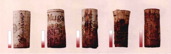 中科盛世酒窖設計（400-088-5628）