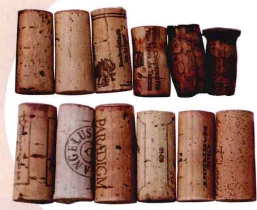 中科盛世酒窖設計（400-088-5628）