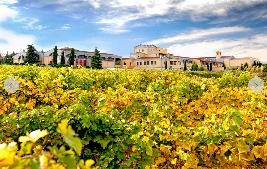 中科盛世酒窖設(shè)計(jì) 中科盛世酒窖設(shè)計(jì)