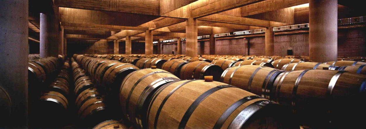 中科盛世，酒窖設計