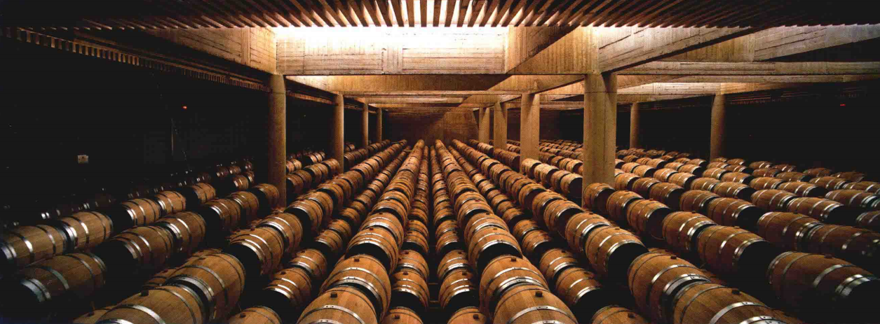 中科盛世，酒窖設計