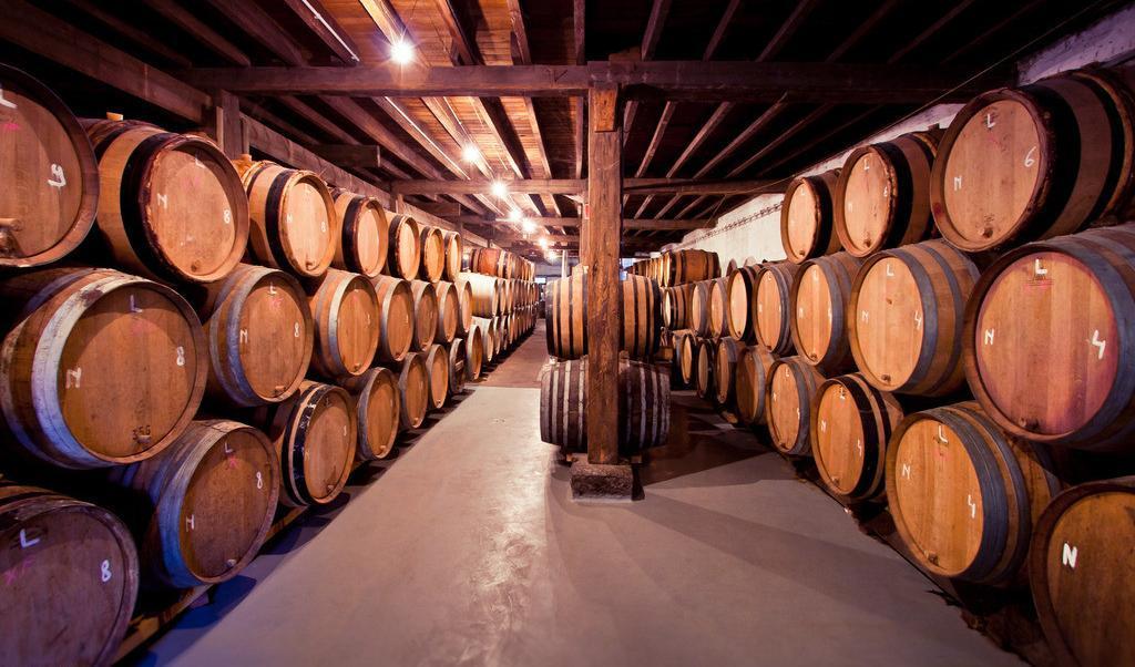 中科盛世，酒窖設計