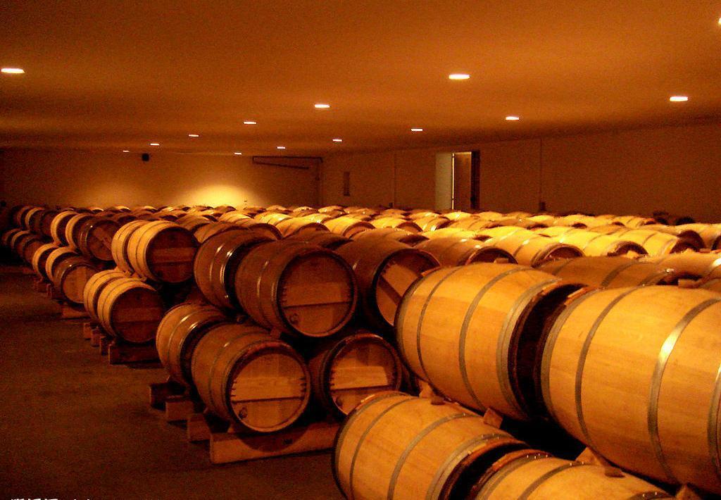 中科盛世，酒窖設計