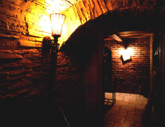 中科盛世,酒窖設計 中科盛世,酒窖設計