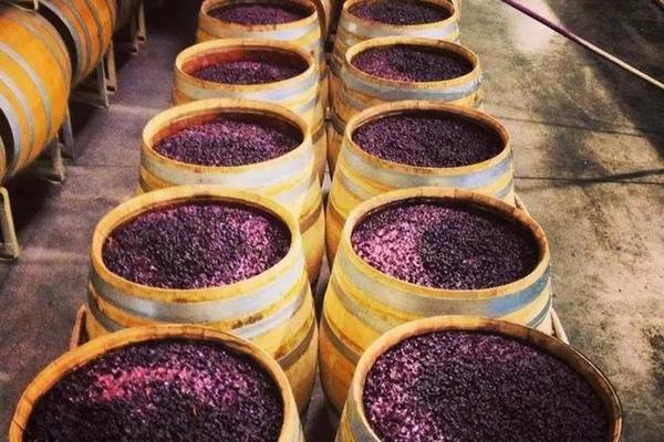 中科盛世，酒窖設計